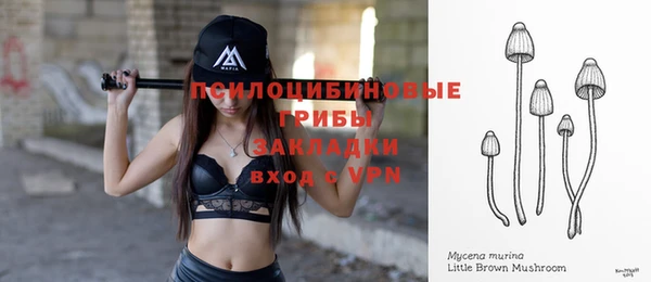 дживик Абинск