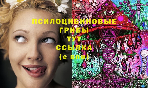 прущие крисы Алексеевка