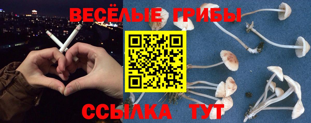 Лабытнанги  ГАШ  Меф МЯУ МЯУ   Вход с VPN  Гашиш  МАРИХУАНА 